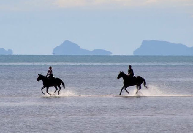 Samui Beach Horse Riding Lipa Noi